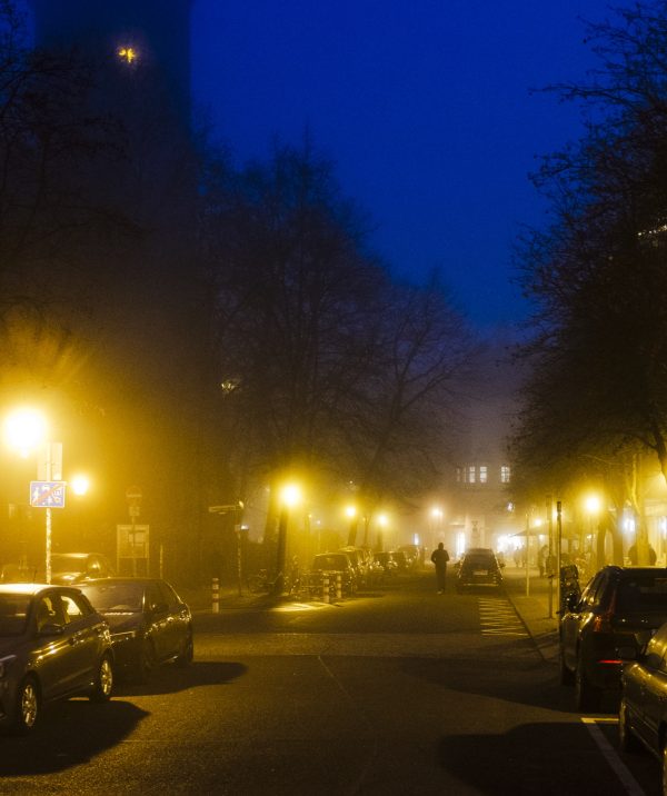 Nebel in Berlin - Dezember 2025 12
